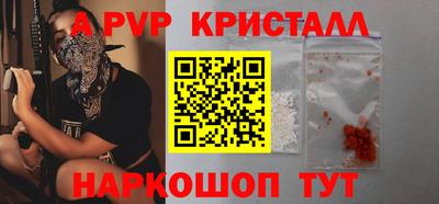 гашик Кингисепп
