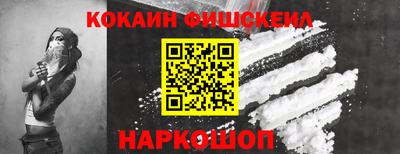 гашик Кингисепп