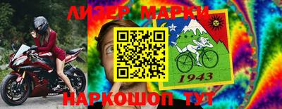 гашик Кингисепп