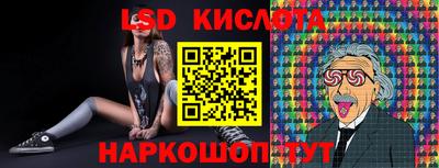 гашик Кингисепп