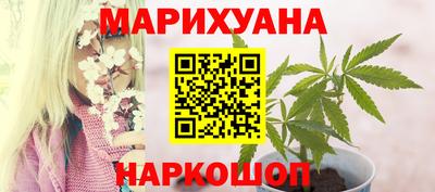 гашик Кингисепп