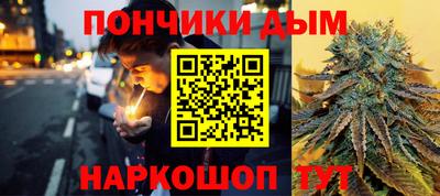 гашик Кингисепп