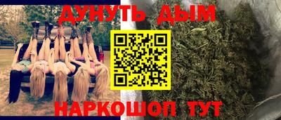 гашик Кингисепп