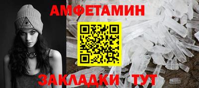 гашик Кингисепп