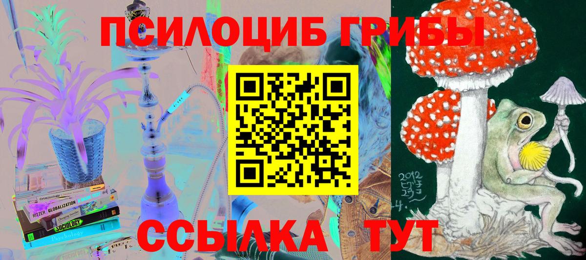 Псилоцибиновые грибы Psilocybine cubensis  Вход с VPN  Конаково 