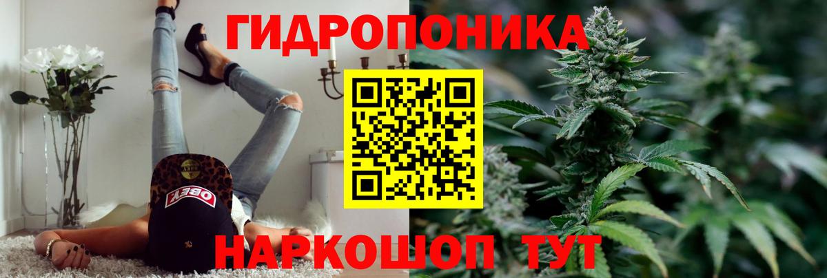 Каннабис индика Конаково